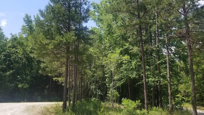 40 Acre Rock Lower Parking - Kershaw, SC