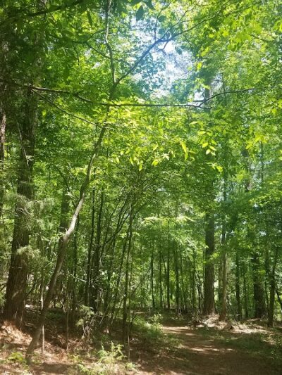 40 Acre Rock Lower Parking - Kershaw, SC