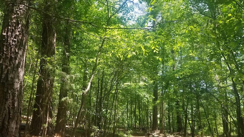 40 Acre Rock Lower Parking - Kershaw, SC