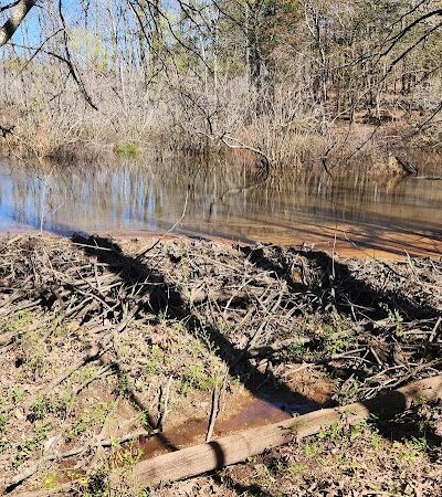 40 Acre Rock Lower Parking - Kershaw, SC