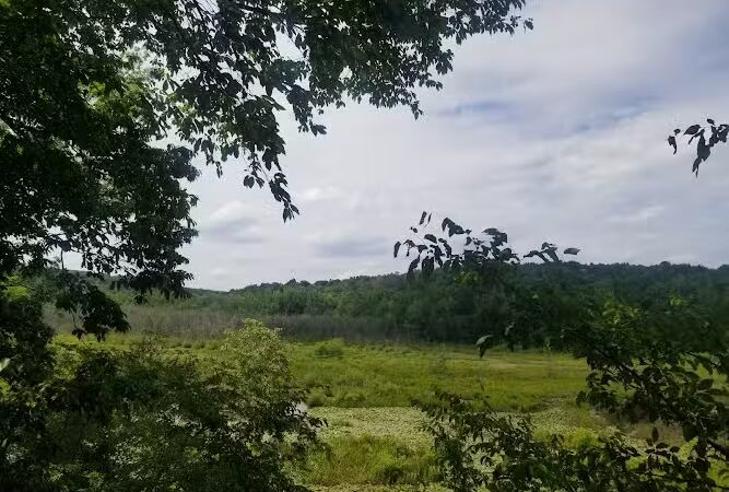 40 Acre Rock Lower Parking - Kershaw, SC