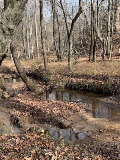 40 Acre Rock Upper Parking - Kershaw, SC