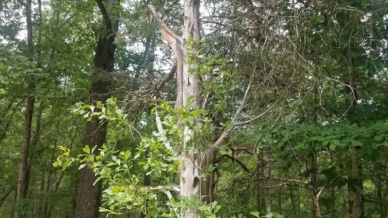 40 Acre Rock Upper Parking - Kershaw, SC