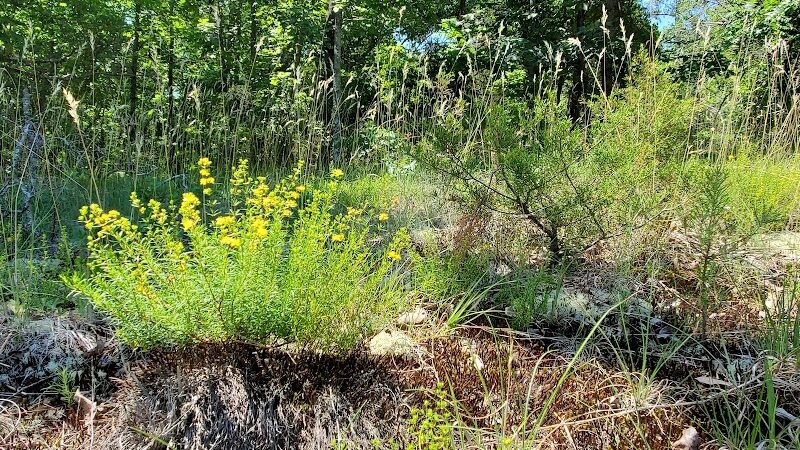 40 Acre Rock Upper Parking - Kershaw, SC