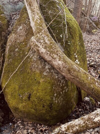 40 Acre Rock Upper Parking - Kershaw, SC