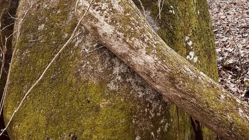 40 Acre Rock Upper Parking - Kershaw, SC