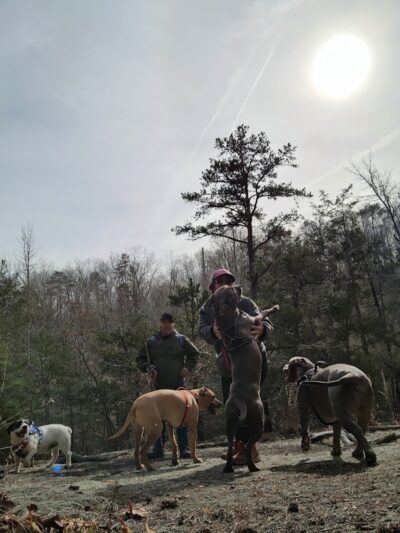 40 Acre Rock Upper Parking - Kershaw, SC