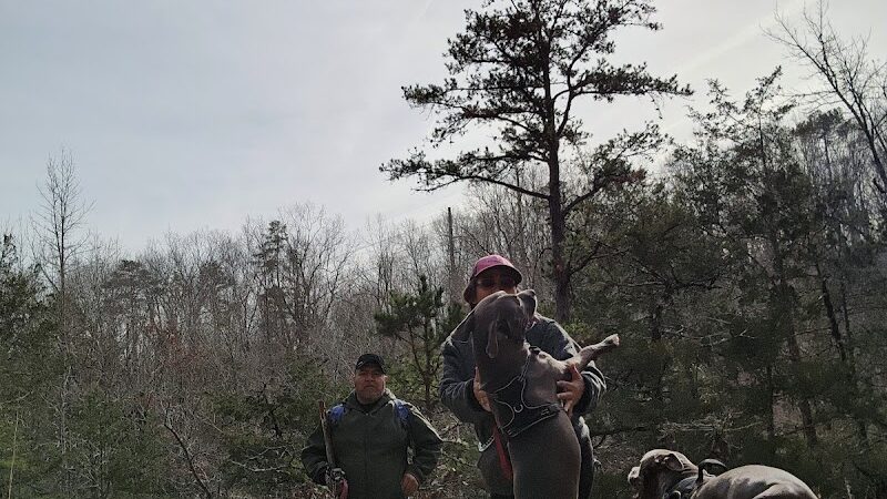 40 Acre Rock Upper Parking - Kershaw, SC