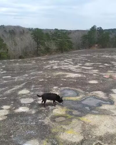 40 Acre Rock Upper Parking - Kershaw, SC