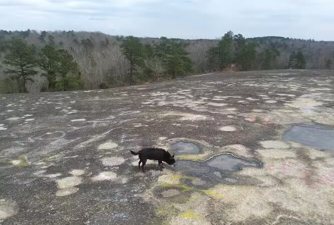 40 Acre Rock Upper Parking - Kershaw, SC