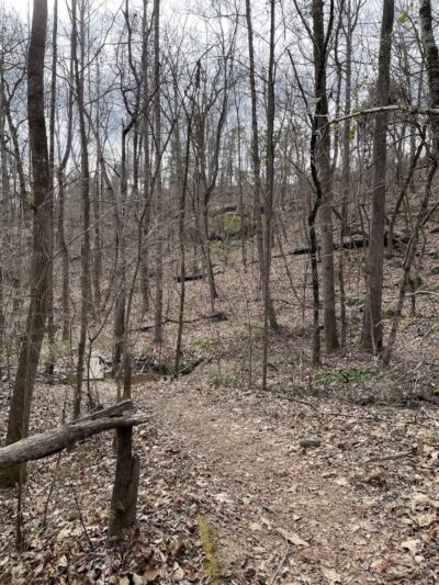 Campbridge Waterfall - Kershaw, SC