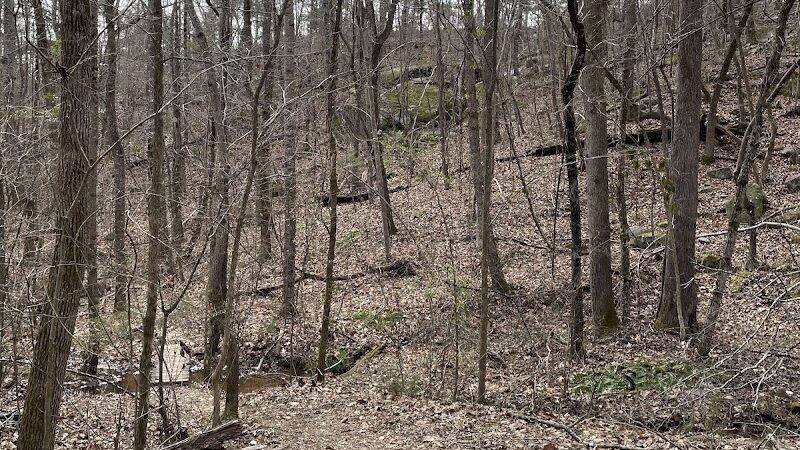 Campbridge Waterfall - Kershaw, SC