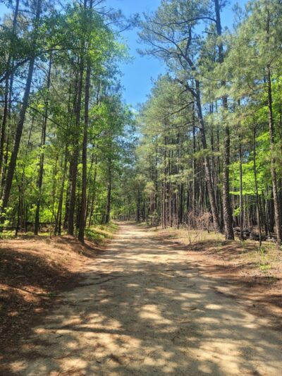 Campbridge Waterfall - Kershaw, SC