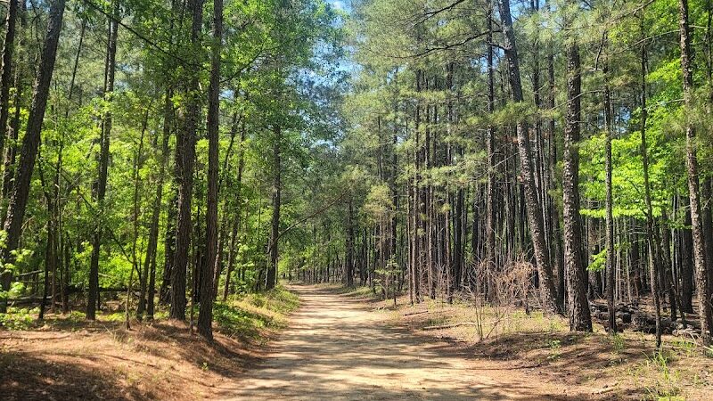 Campbridge Waterfall - Kershaw, SC