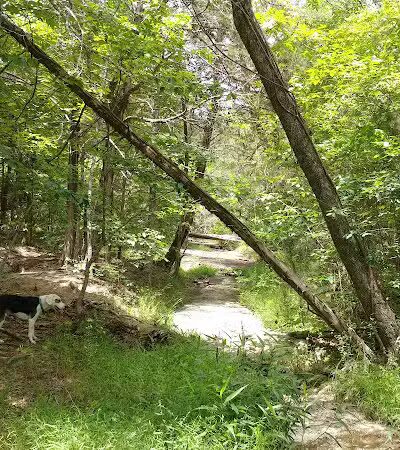 Campbridge Waterfall - Kershaw, SC
