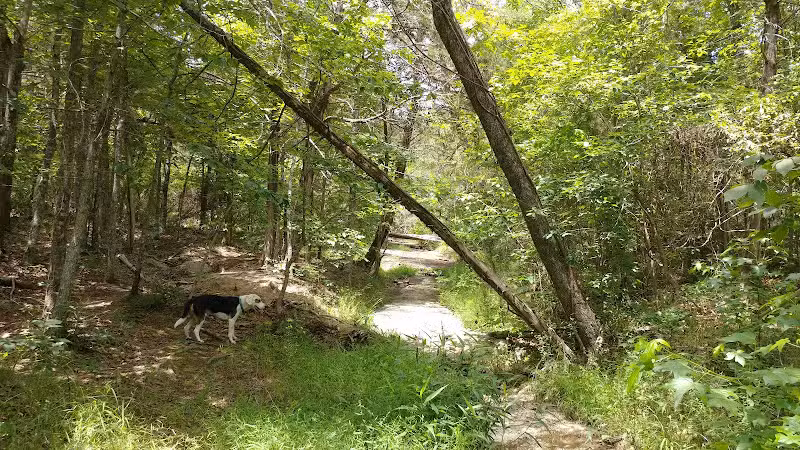 Campbridge Waterfall - Kershaw, SC