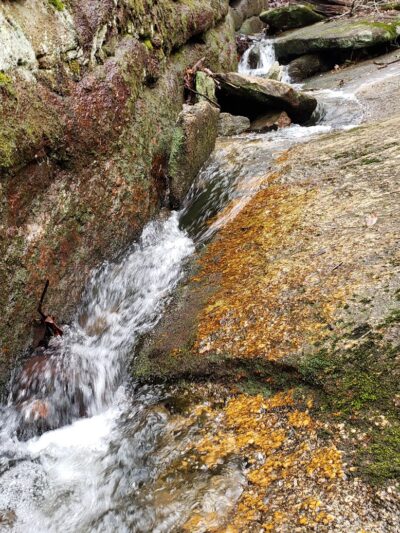 Trailhead to Lower Parking Area - Kershaw, SC