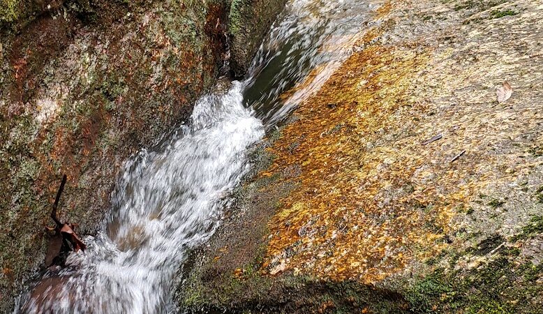 Trailhead to Lower Parking Area - Kershaw, SC