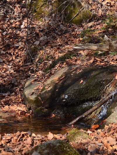 Trailhead to Lower Parking Area - Kershaw, SC