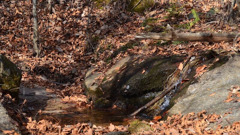 Trailhead to Lower Parking Area - Kershaw, SC