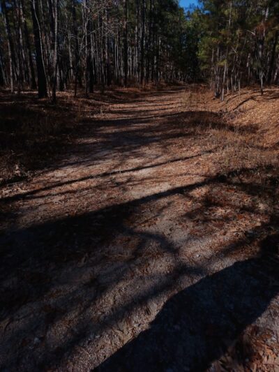Trailhead to Lower Parking Area - Kershaw, SC