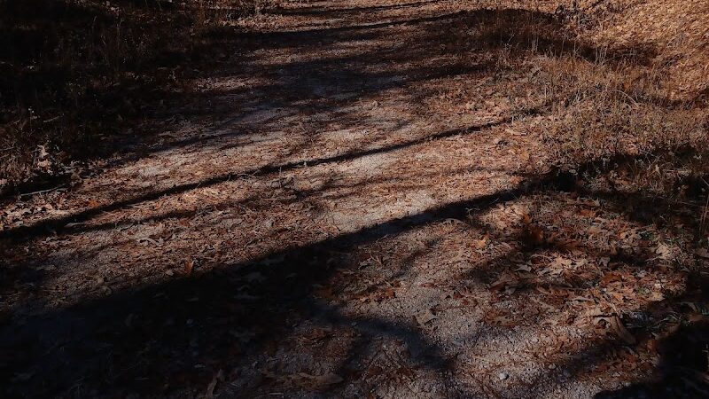 Trailhead to Lower Parking Area - Kershaw, SC