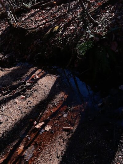 Trailhead to Lower Parking Area - Kershaw, SC