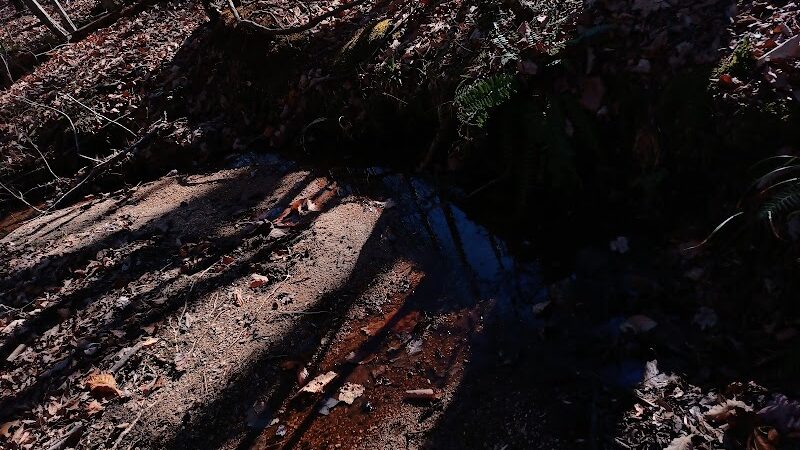 Trailhead to Lower Parking Area - Kershaw, SC