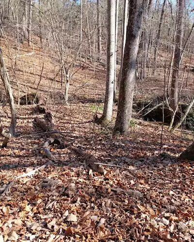 Trailhead to Lower Parking Area - Kershaw, SC