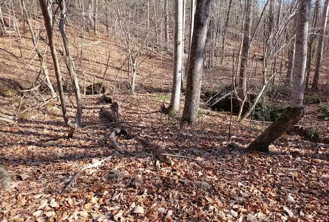 Trailhead to Lower Parking Area - Kershaw, SC