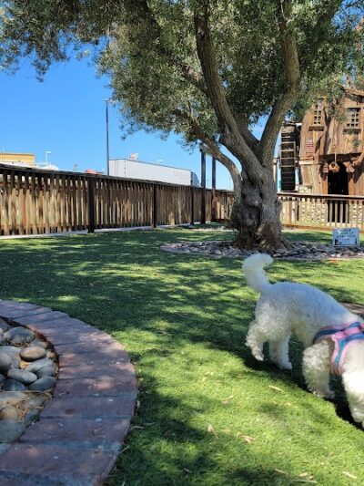 Dog Park at Bravo Land - Kettleman City, CA