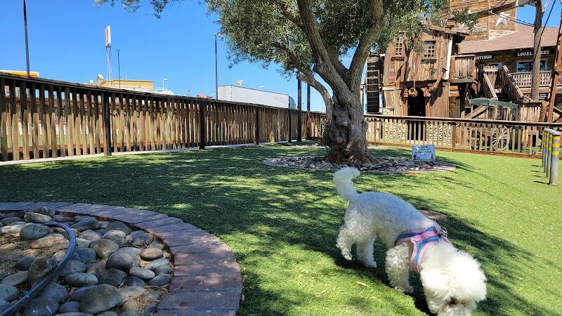 Dog Park at Bravo Land - Kettleman City, CA