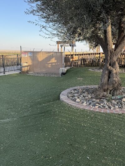 Dog Park at Bravo Land - Kettleman City, CA