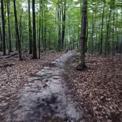 Barnes County Park - Kewadin,