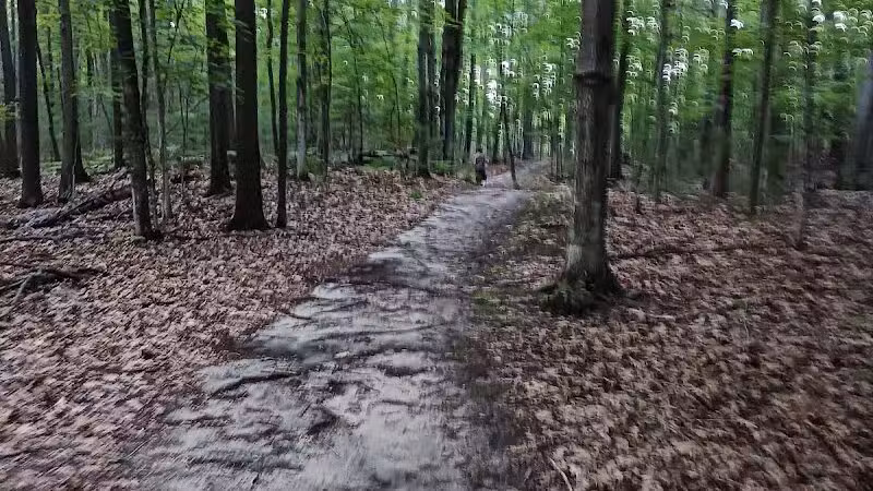 Barnes County Park - Kewadin,