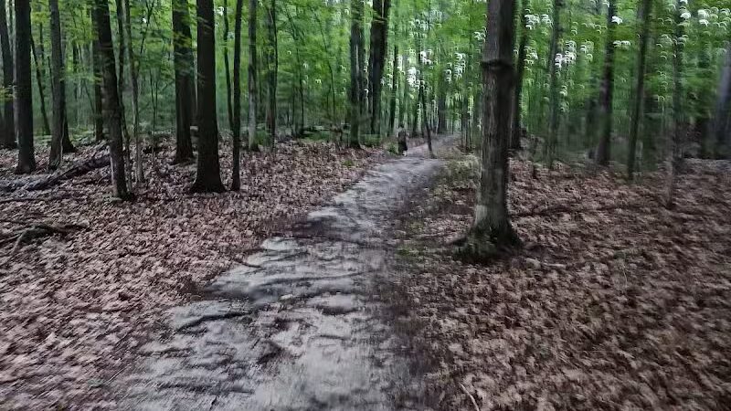 Barnes County Park - Kewadin,