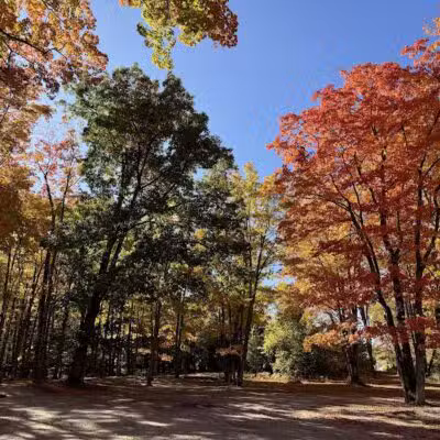 Barnes County Park - Kewadin,