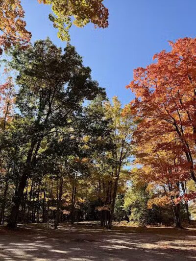 Barnes County Park - Kewadin,