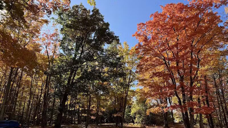 Barnes County Park - Kewadin,