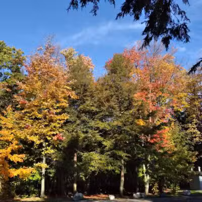 Birch Lake Park - Kewadin,