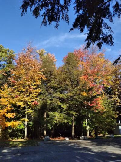 Birch Lake Park - Kewadin,