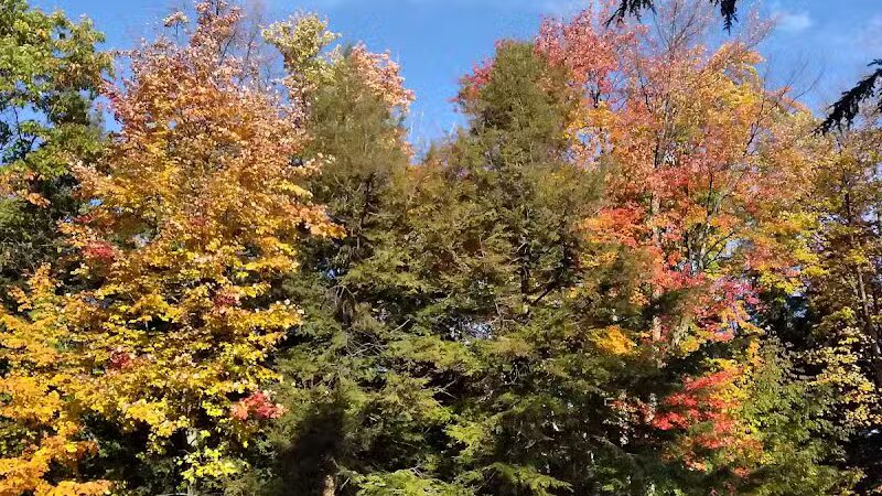 Birch Lake Park - Kewadin,