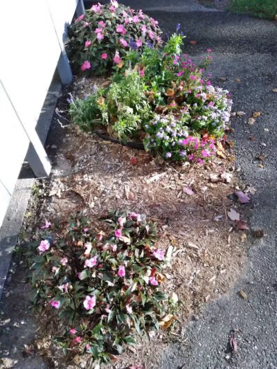 Birch Lake Park - Kewadin,