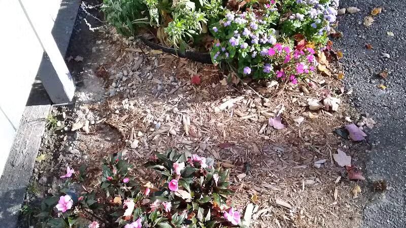 Birch Lake Park - Kewadin,