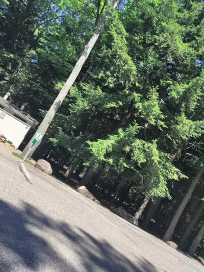 Birch Lake Park - Kewadin,