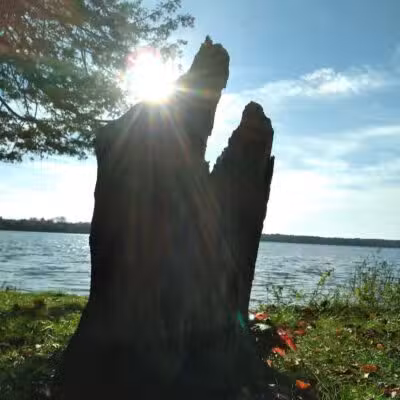 Birch Lake Park - Kewadin,