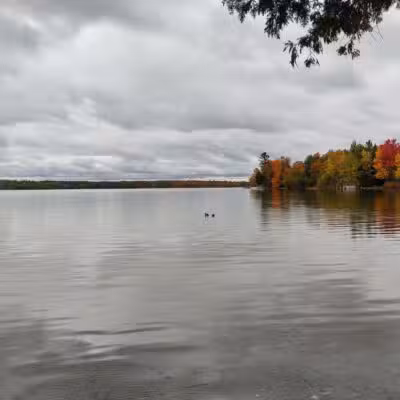 Birch Lake Park - Kewadin,