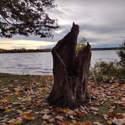 Birch Lake Park - Kewadin,