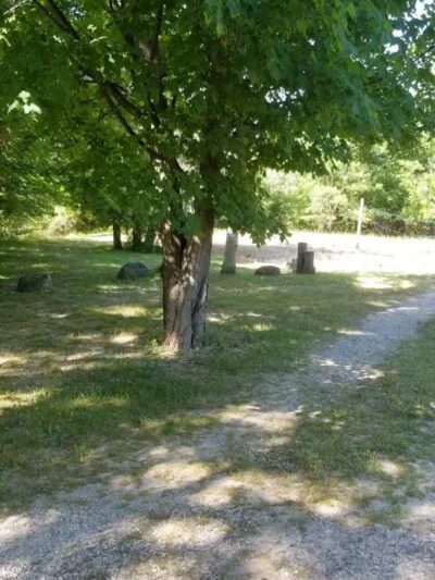 Canoe / kayak launch and trails - Kewadin,