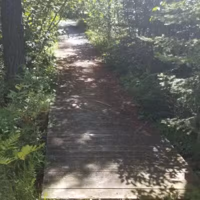 Canoe / kayak launch and trails - Kewadin,